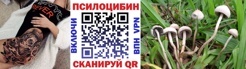МЕГА ссылка  Карталы  Псилоцибиновые грибы ЛСД 